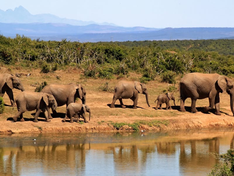 Intercâmbio na África do Sul: viva uma experiência inesquecível