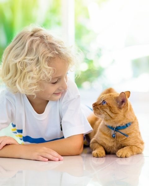 Casas com laje perigo para crianças e pets